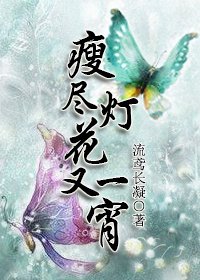 瘦盡燈花又一宵